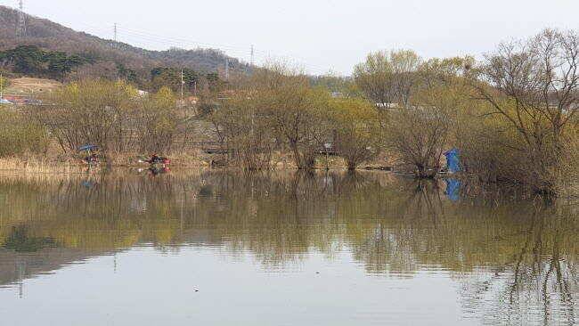 아산 명품 월랑낚시터 4월 세번째 조황소식입니다 (유료터정보 - 유료터점주조황)