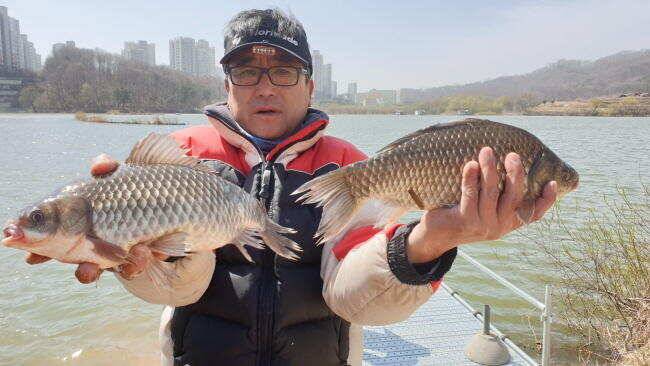 아산 명품 월랑낚시터 4월 세번째 조황소식입니다 (유료터정보 - 유료터점주조황)