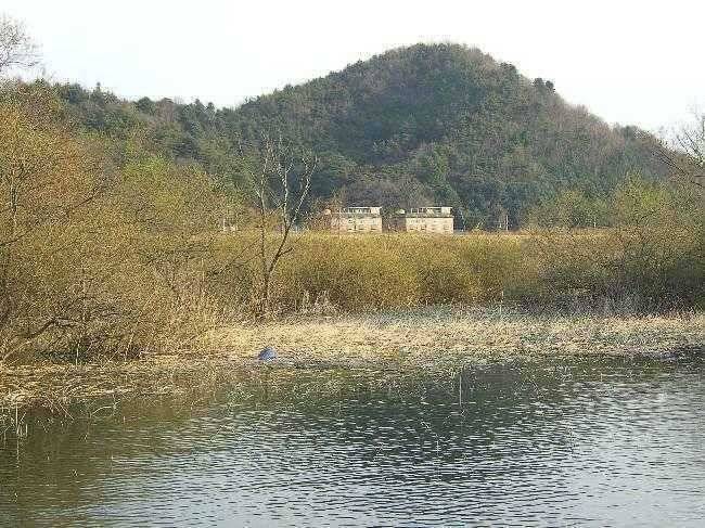 춘천 의암호 광명좌대 (유료터정보 - 유료터점주조황)