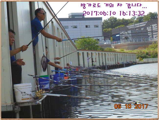 도심속의 작은 쉼터 화성 관리 낚시터입니다 (유료터정보 - 유료터점주조황)