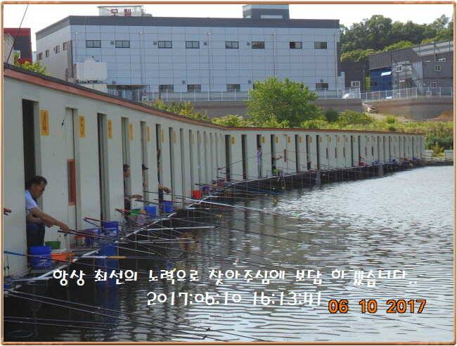 도심속의 작은 쉼터 화성 관리 낚시터입니다 (유료터정보 - 유료터점주조황)