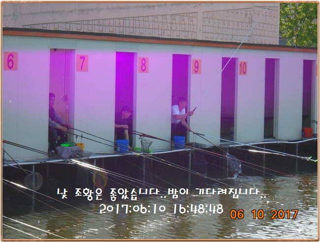 도심속의 작은 쉼터 화성 관리 낚시터입니다 (유료터정보 - 유료터점주조황)