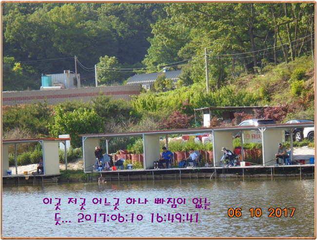 도심속의 작은 쉼터 화성 관리 낚시터입니다 (유료터정보 - 유료터점주조황)