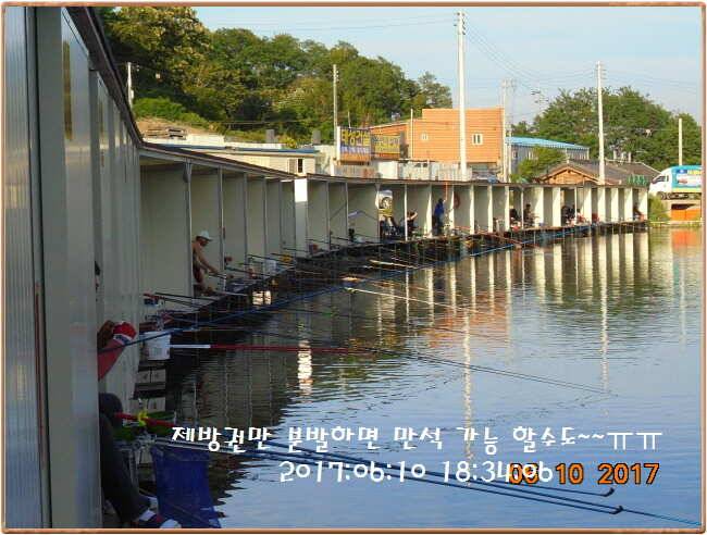 도심속의 작은 쉼터 화성 관리 낚시터입니다 (유료터정보 - 유료터점주조황)