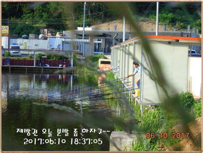 도심속의 작은 쉼터 화성 관리 낚시터입니다 (유료터정보 - 유료터점주조황)