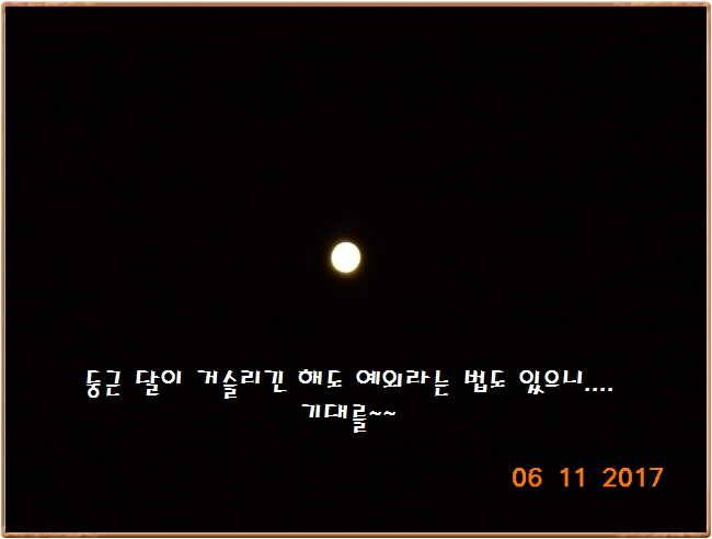 도심속의 작은 쉼터 화성 관리 낚시터입니다 (유료터정보 - 유료터점주조황)