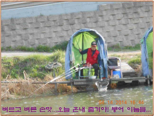 물 맑고 수심좋고 힘찬입질 관리터입니다4월19일 개장 11주년 행사 안내 (유료터정보 - 유료터점주조황)