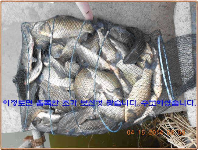 물 맑고 수심좋고 힘찬입질 관리터입니다4월19일 개장 11주년 행사 안내 (유료터정보 - 유료터점주조황)