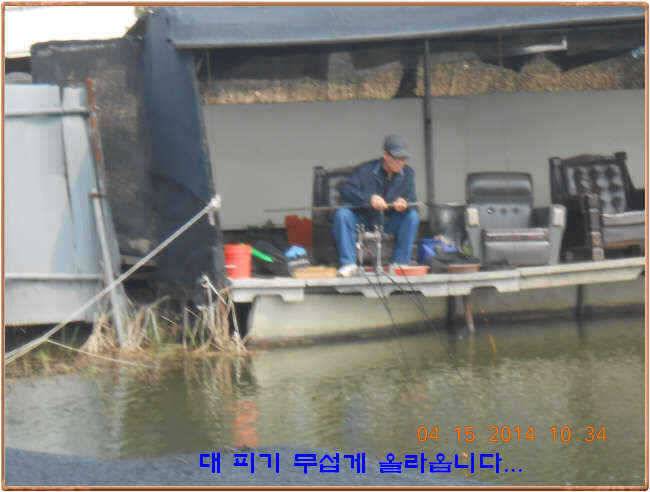 물 맑고 수심좋고 힘찬입질 관리터입니다4월19일 개장 11주년 행사 안내 (유료터정보 - 유료터점주조황)