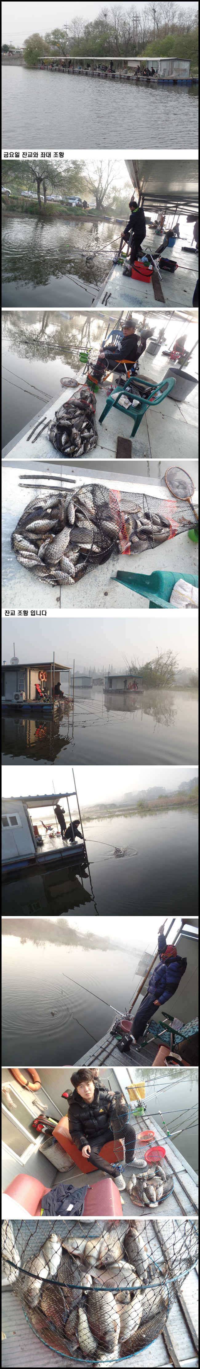 아산죽산지422일 금요일잔교와 수초권 조황 (유료터정보 - 유료터점주조황)