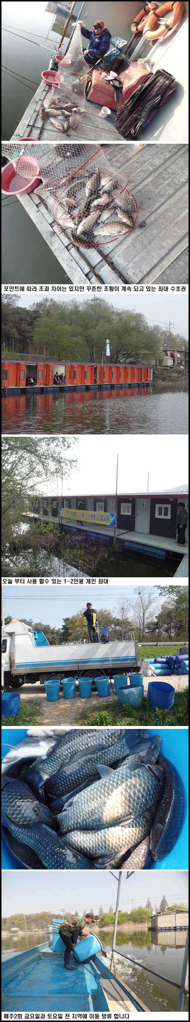 아산죽산지422일 금요일잔교와 수초권 조황 (유료터정보 - 유료터점주조황)