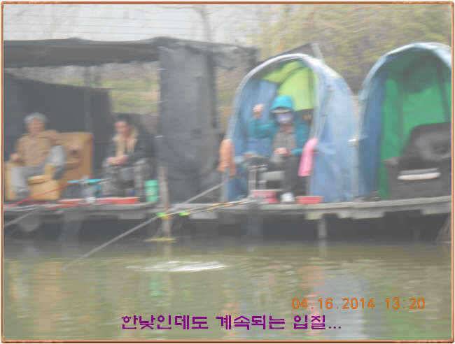 물 맑고 수심좋고 힘찬입질 관리터입니다삼가 고인의 명복을 빕니다 (유료터정보 - 유료터점주조황)
