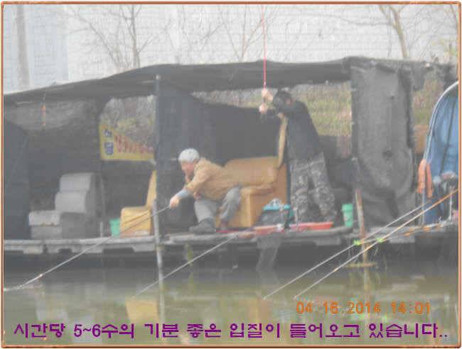 물 맑고 수심좋고 힘찬입질 관리터입니다삼가 고인의 명복을 빕니다 (유료터정보 - 유료터점주조황)