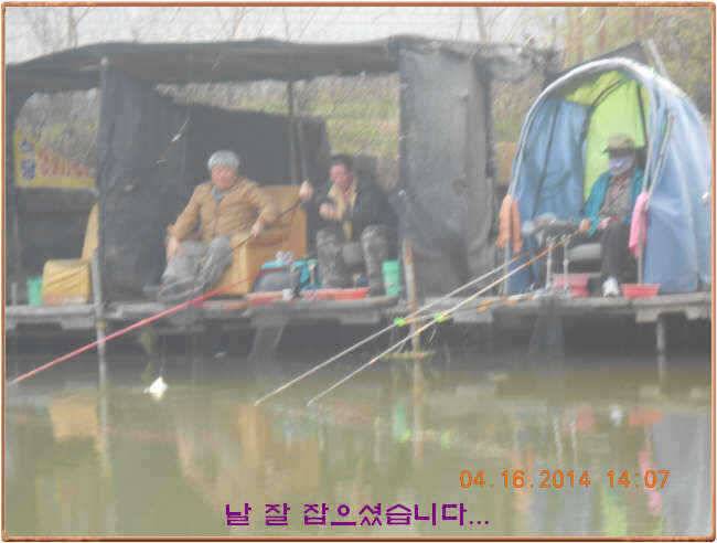 물 맑고 수심좋고 힘찬입질 관리터입니다삼가 고인의 명복을 빕니다 (유료터정보 - 유료터점주조황)