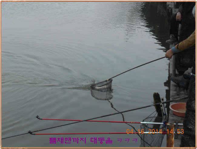 물 맑고 수심좋고 힘찬입질 관리터입니다삼가 고인의 명복을 빕니다 (유료터정보 - 유료터점주조황)
