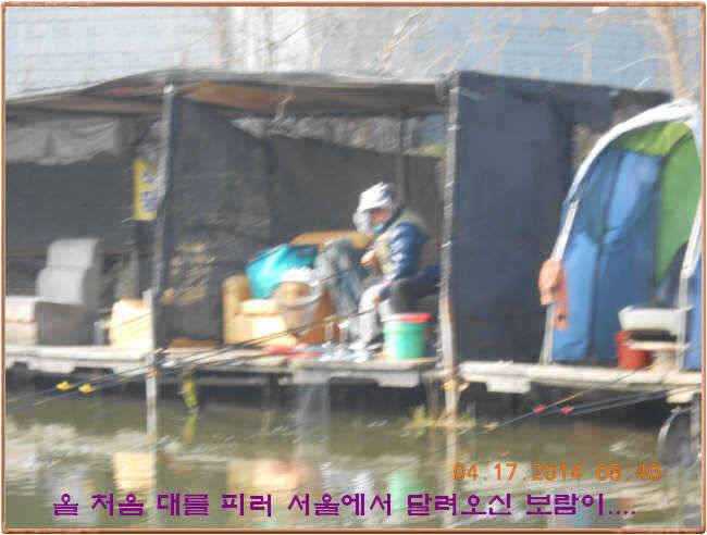 물 맑고 수심좋고 힘찬입질 관리터입니다삼가 고인의 명복을 빕니다 (유료터정보 - 유료터점주조황)