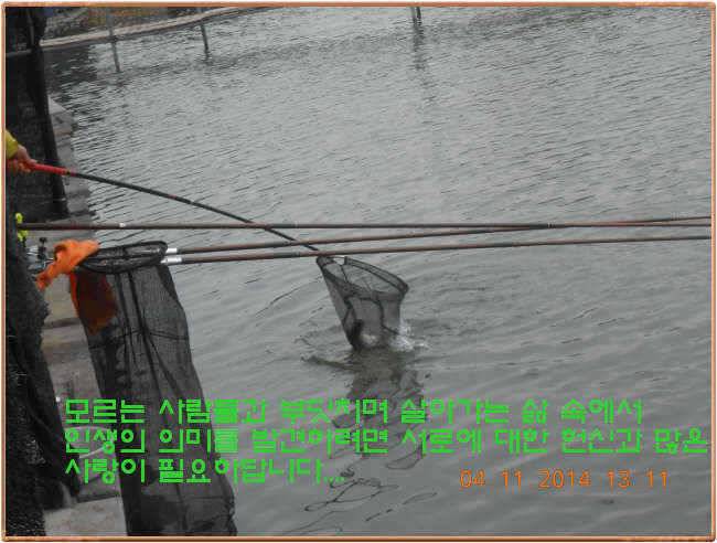 물 맑고 수심좋고 힘찬입질 관리터입니다4월19일 개장 11주년 행사 안내 (유료터정보 - 유료터점주조황)