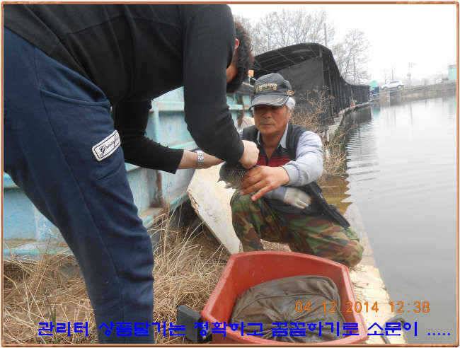 물 맑고 수심좋고 힘찬입질 관리터입니다4월19일 개장 11주년 행사 안내 (유료터정보 - 유료터점주조황)