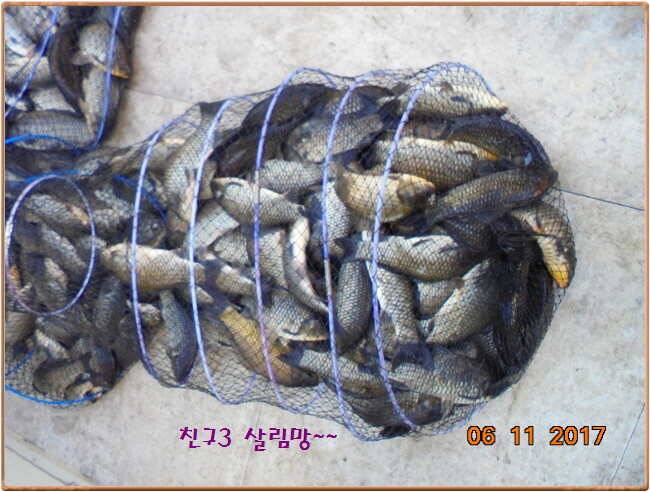 도심속의 작은 쉼터 화성 관리 낚시터입니다 (유료터정보 - 유료터점주조황)