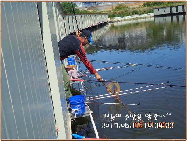 도심속의 작은 쉼터 화성 관리 낚시터입니다 (유료터정보 - 유료터점주조황)