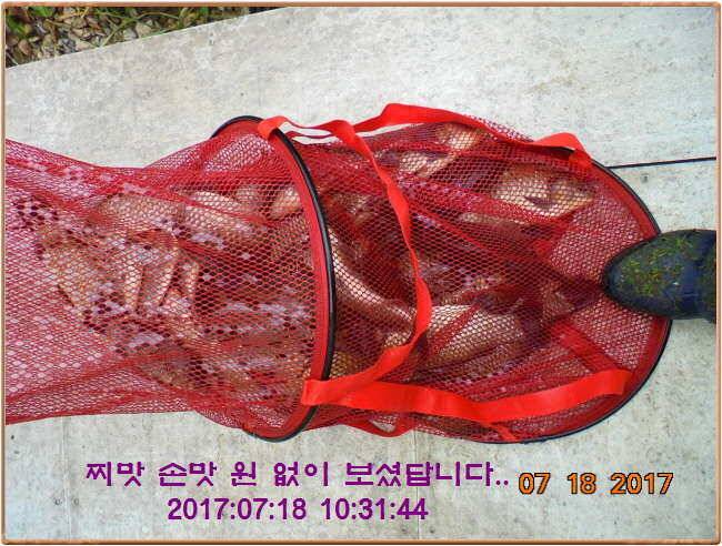 도심속의 작은 쉼터 화성 관리 낚시터입니다밤 밤 밤 대단합니다 (유료터정보 - 유료터점주조황)
