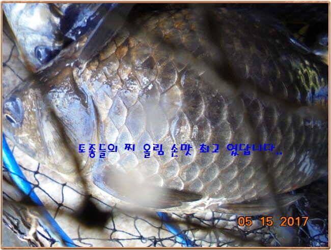 도심속의 작은 쉼터 화성 관리 낚시터입니다 (유료터정보 - 유료터점주조황)