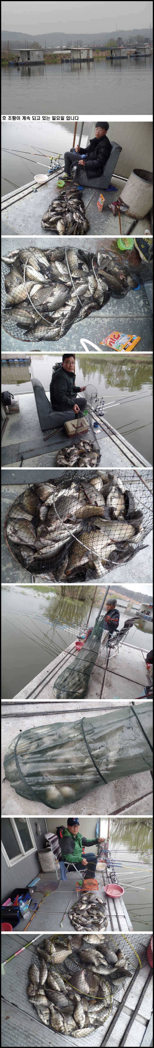 아산죽산지417일 호조황이 계속 되고 있는 일요일 (유료터정보 - 유료터점주조황)