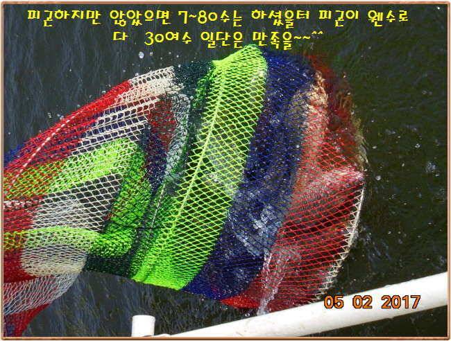 도심속의 작은 쉼터 화성 관리 낚시터입니다 (유료터정보 - 유료터점주조황)