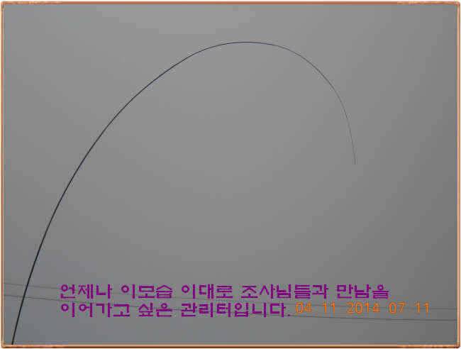 물 맑고 수심좋고 힘찬입질 관리터입니다 골든타임과 붕어 토종메기 방류 (유료터정보 - 유료터점주조황)