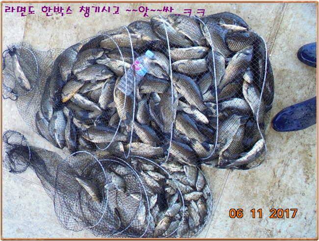 도심속의 작은 쉼터 화성 관리 낚시터입니다현재 만수입니다 (유료터정보 - 유료터점주조황)