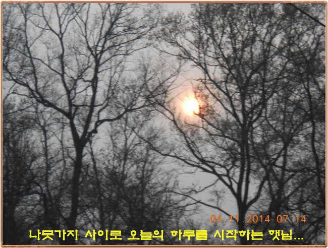 물 맑고 수심좋고 힘찬입질 관리터입니다 골든타임과 붕어 토종메기 방류 (유료터정보 - 유료터점주조황)