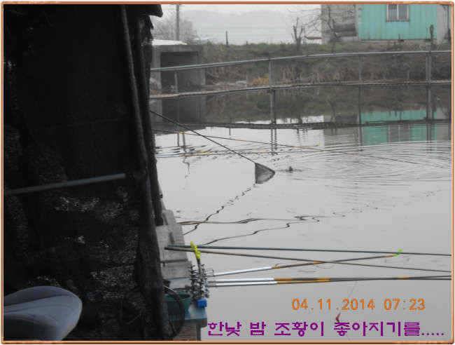 물 맑고 수심좋고 힘찬입질 관리터입니다 골든타임과 붕어 토종메기 방류 (유료터정보 - 유료터점주조황)