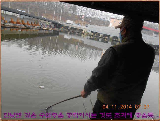 물 맑고 수심좋고 힘찬입질 관리터입니다 골든타임과 붕어 토종메기 방류 (유료터정보 - 유료터점주조황)