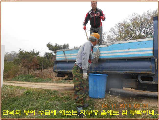 물 맑고 수심좋고 힘찬입질 관리터입니다 골든타임과 붕어 토종메기 방류 (유료터정보 - 유료터점주조황)