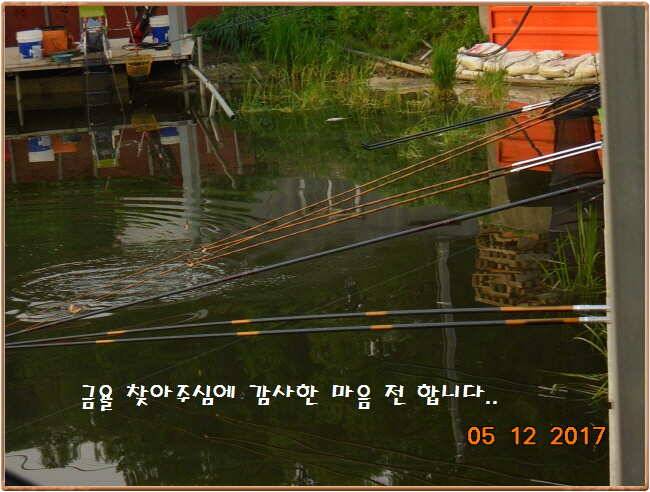 도심속의 작은 쉼터 화성 관리 낚시터입니다 (유료터정보 - 유료터점주조황)