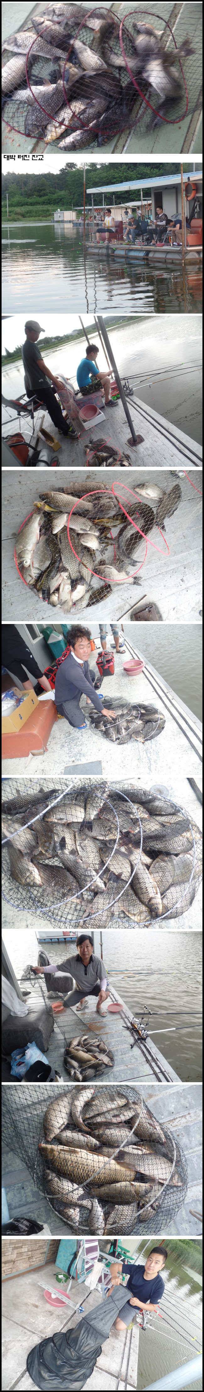 아산죽산지813일 주말 대박부터 낱마리 조황 (유료터정보 - 유료터점주조황)