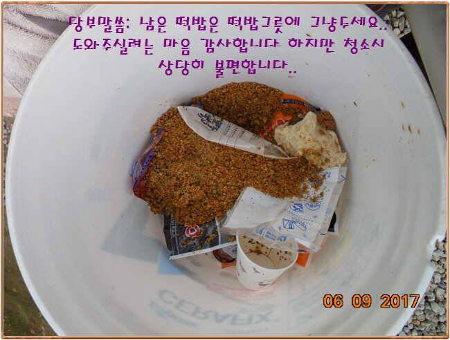 도심속의 작은 쉼터 화성 관리 낚시터입니다성원에 감사드립니다 (유료터정보 - 유료터점주조황)