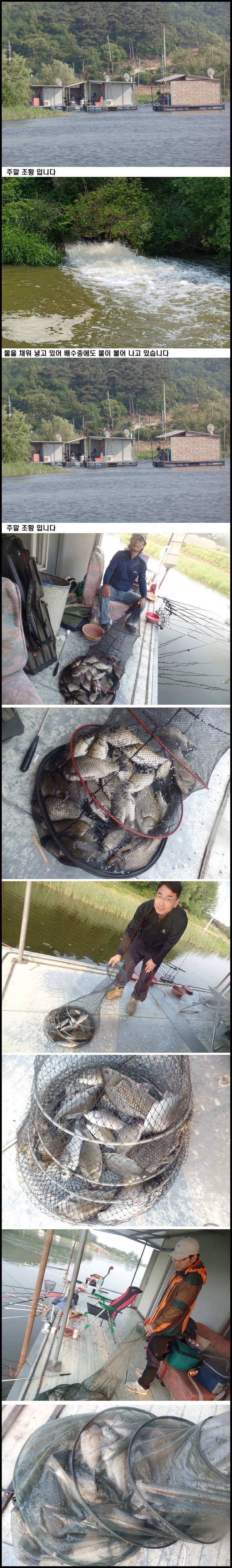 아산죽산지528일 주말 조황 입니다 (유료터정보 - 유료터점주조황)