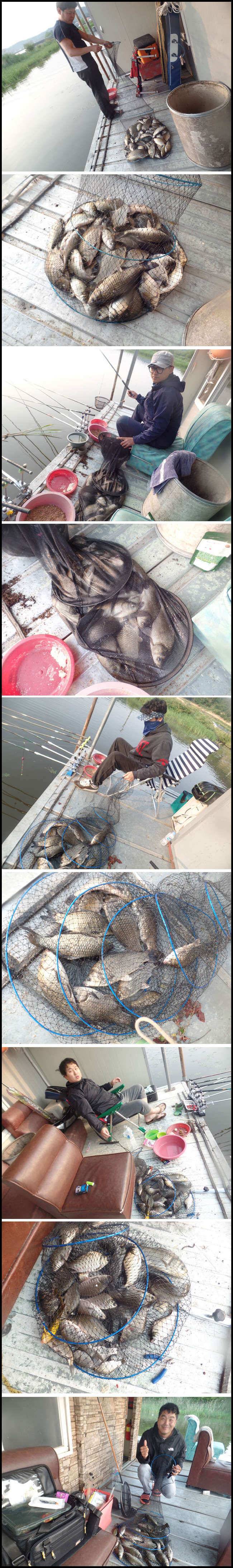 아산죽산지528일 주말 조황 입니다 (유료터정보 - 유료터점주조황)