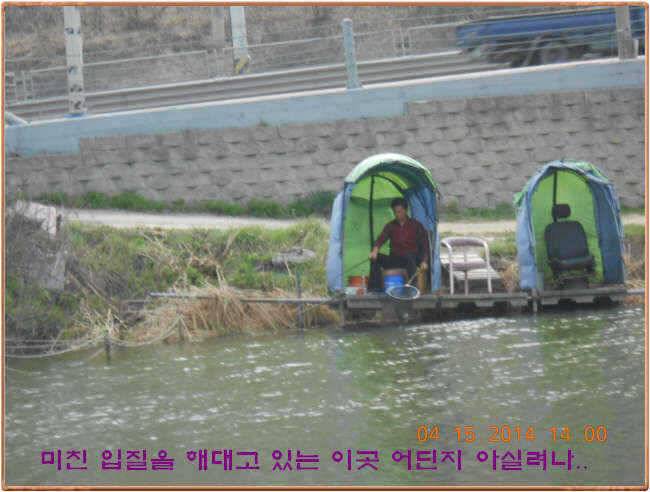 물 맑고 수심좋고 힘찬입질 관리터입니다 4월19일 11주년 행사와 실시간 조황 (유료터정보 - 유료터점주조황)