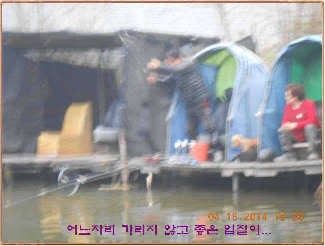 물 맑고 수심좋고 힘찬입질 관리터입니다 4월19일 11주년 행사와 실시간 조황 (유료터정보 - 유료터점주조황)