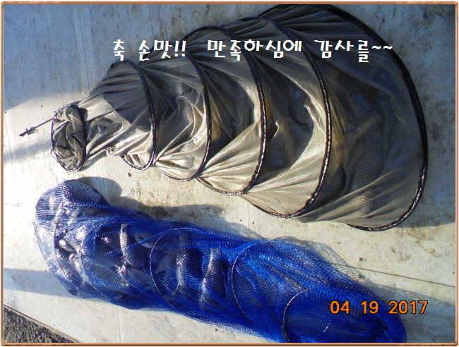 도심속의 작은 쉼터 화성 관리 낚시터입니다 (유료터정보 - 유료터점주조황)