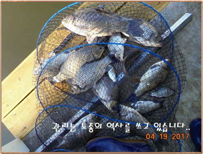 도심속의 작은 쉼터 화성 관리 낚시터입니다 (유료터정보 - 유료터점주조황)