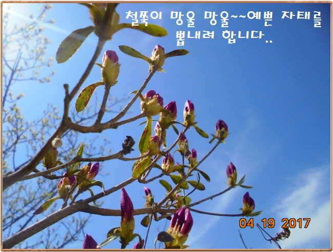 도심속의 작은 쉼터 화성 관리 낚시터입니다 (유료터정보 - 유료터점주조황)