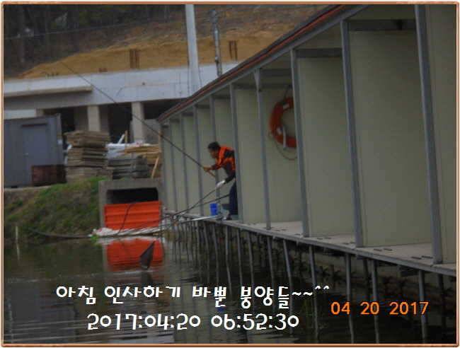도심속의 작은 쉼터 화성 관리 낚시터입니다 (유료터정보 - 유료터점주조황)