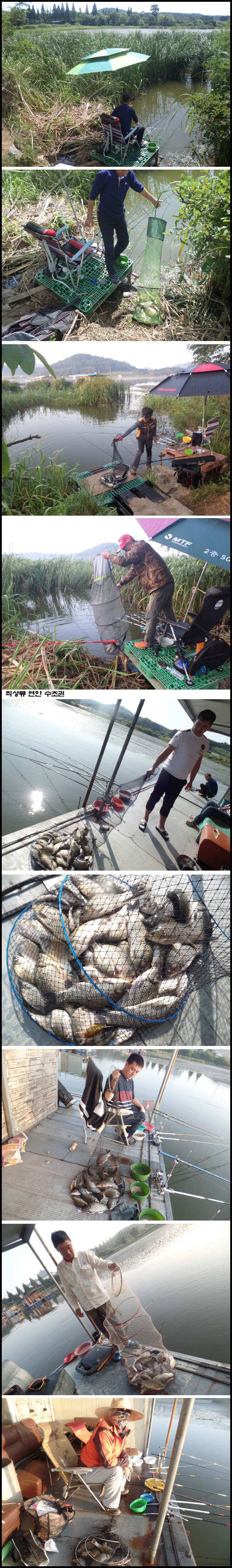 아산죽산지93일 대박이 많이 터진 9월 첫 주말 (유료터정보 - 유료터점주조황)