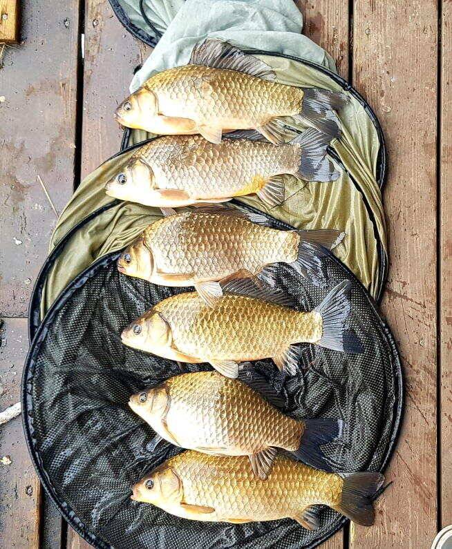 4짜 대물 두마리에 마릿수까지 대박입니다 (유료터정보 - 유료터점주조황)