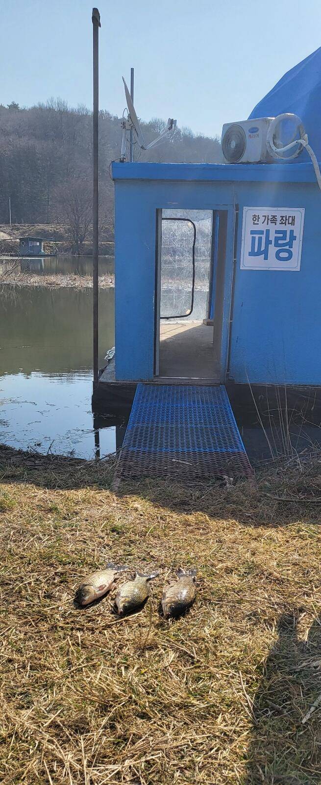 당진 가교리 낚시터 3월 23일 조황입니다 (유료터정보 - 유료터점주조황)