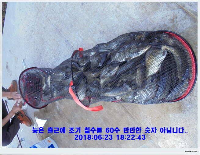 도심속의 작은 쉼터 화성 관리낚시터입니다비 오고 난후 (유료터정보 - 유료터점주조황)