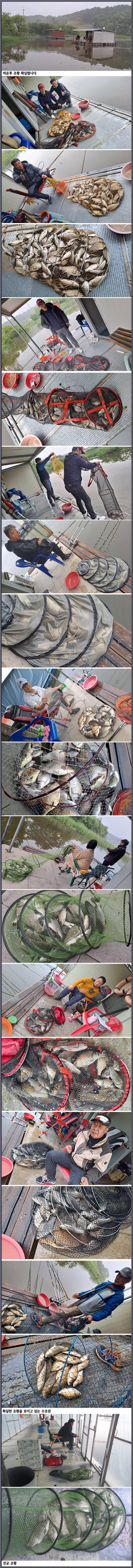 아산죽산지518일 비 온후 확실한 조황을 보입니다 (유료터정보 - 유료터점주조황)